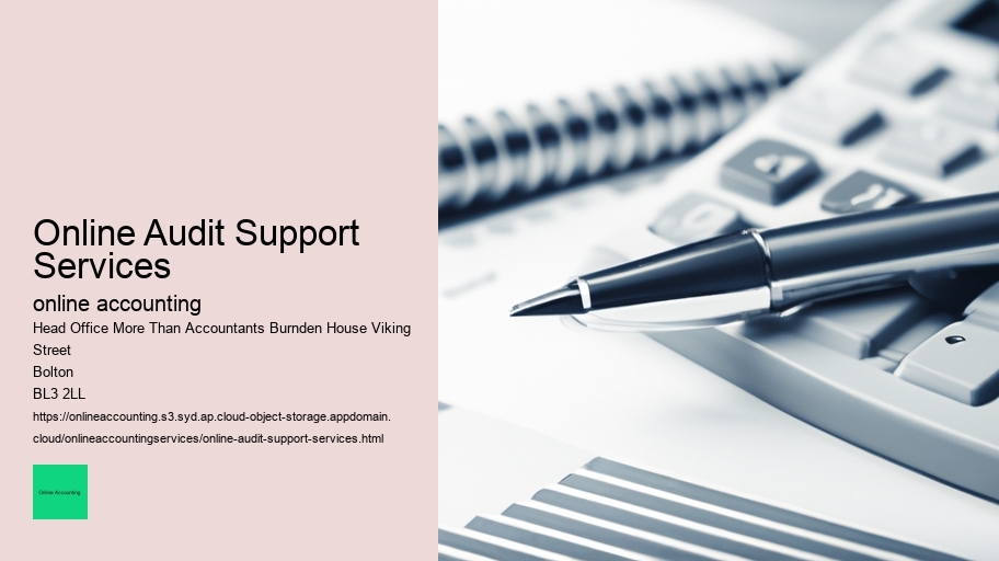 Online Audit Support Services