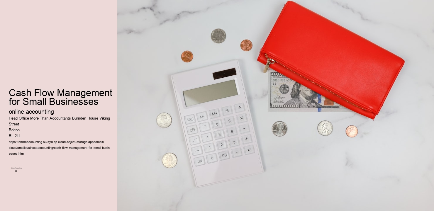 Cash Flow Management for Small Businesses