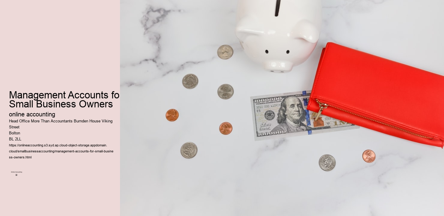 Management Accounts for Small Business Owners