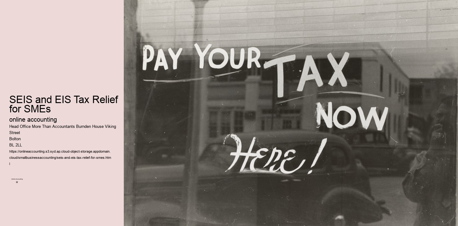 SEIS and EIS Tax Relief for SMEs