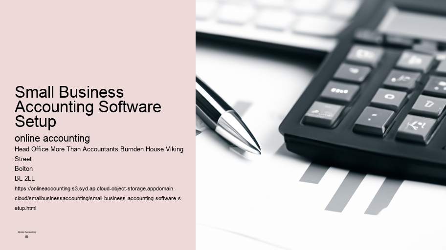 Small Business Accounting Software Setup