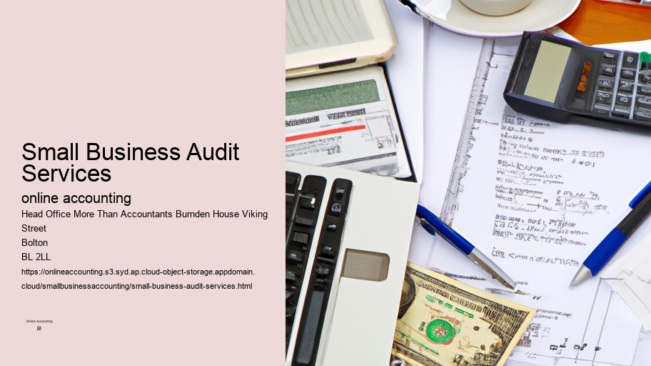 Small Business Audit Services