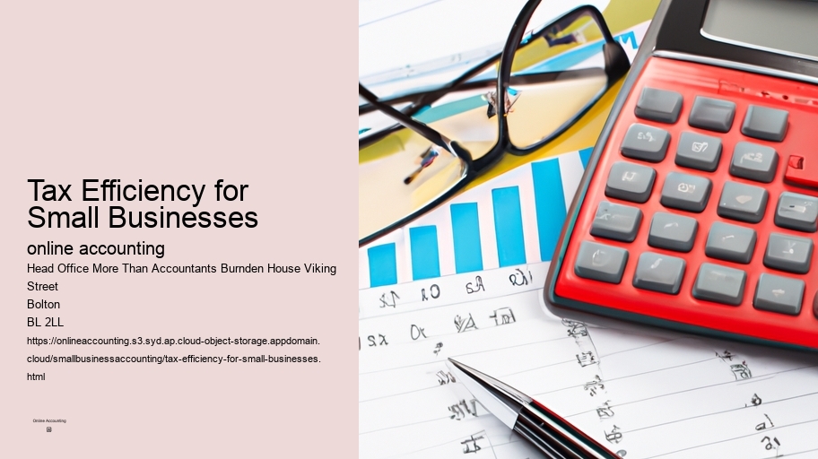 Tax Efficiency for Small Businesses